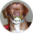 Szymon K. profile picture